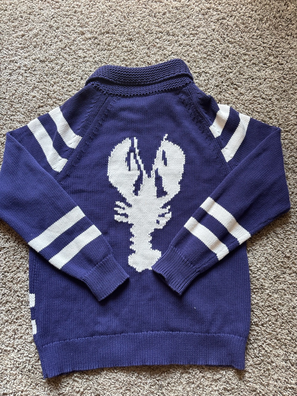 J Crew lobster back zip up sweater